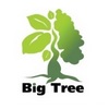 brand-logo-big-tree-01.jpg