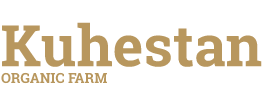 Text-Logo.png