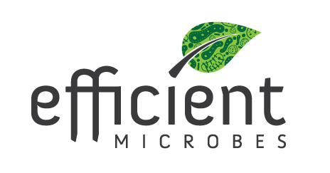 EM_Logo_web.png