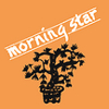 brand-logo-morning-star-01.jpg